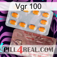 Vgr 100 new13